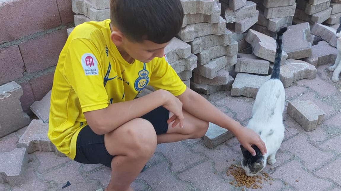 4 Ekim Hayvanları Koruma Günü